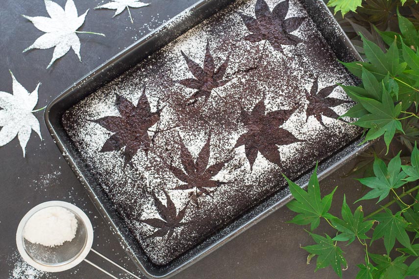 Spicy Low FODMAP Chocolate Snack Cake with stencils of leaves; dark background