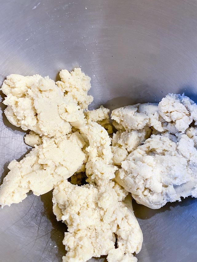 low FODMAP tropical biscotti dough after eggs have been added
