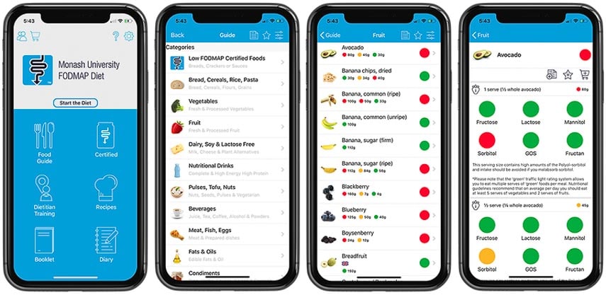 Graphic representation of Monash University FODMAP Diet smartphone for the article What Can I Eat on the Low FODMAP Diet APP