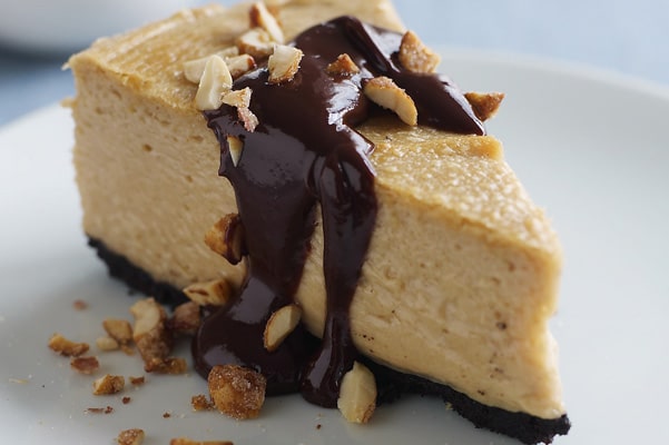 frozen peanut butter cheesecake with chocolate sauce on white plate
