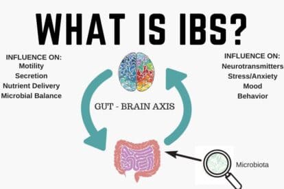 A drawing of the connection between the gut and the brain. 