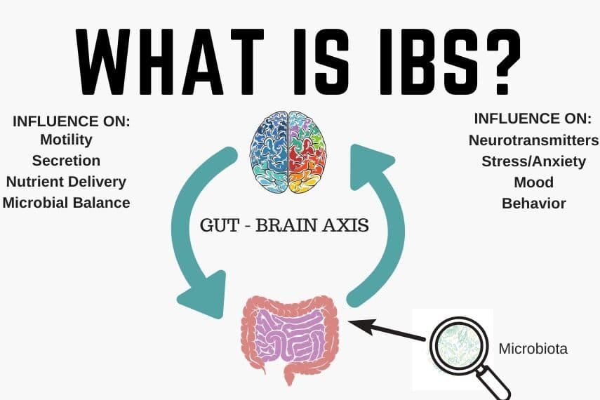 A drawing of the connection between the gut and the brain.