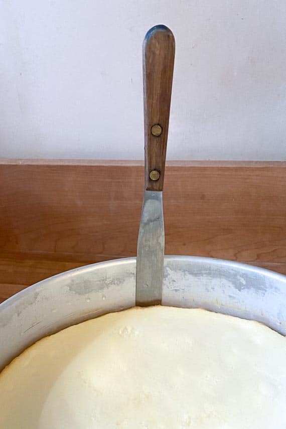 using an icing spatula to release cheesecake from springform pan
