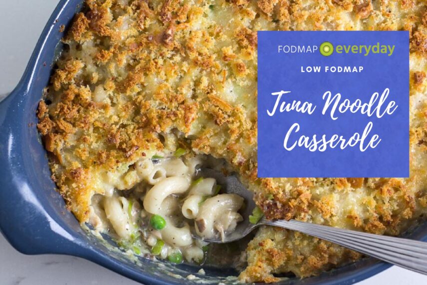 overhead of Low FODMAP Tuna Noodle Casserole