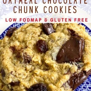 One-Bowl Low FODMAP Peanut Butter Oatmeal Chocolate Chunk Cookies with Raisins