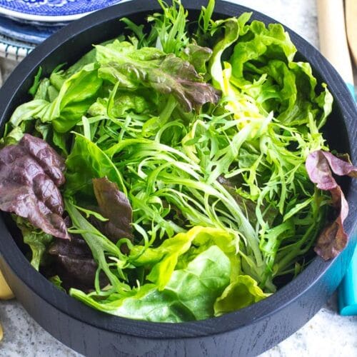 https://www.fodmapeveryday.com/wp-content/uploads/2020/03/No-FODMAP-Leafy-Green-Salad-in-wooden-bowl-500x500.jpg