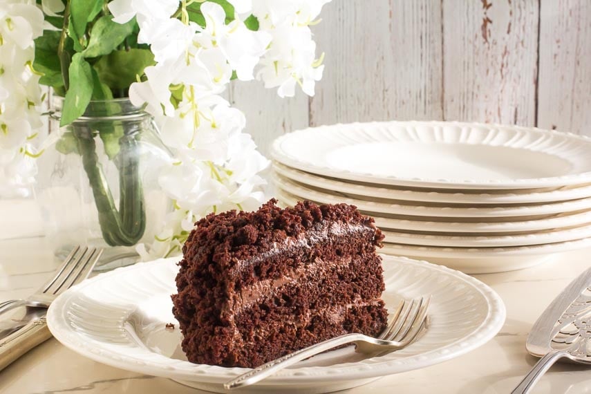 horizontal image of Low FODMAP Blackout Cake on white plate