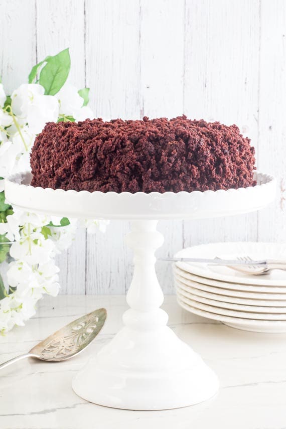 whole low FODMAP Blackout Cake on white pedestal