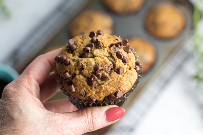 Low FODMAP Banana Chocolate Chip Muffins in hand