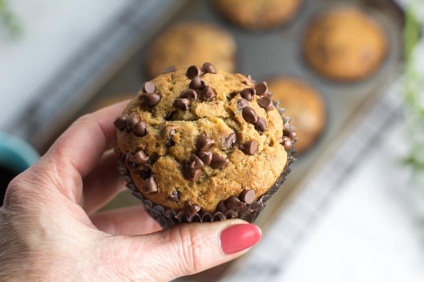 Banana Chocolate Chip Muffins held in hand.