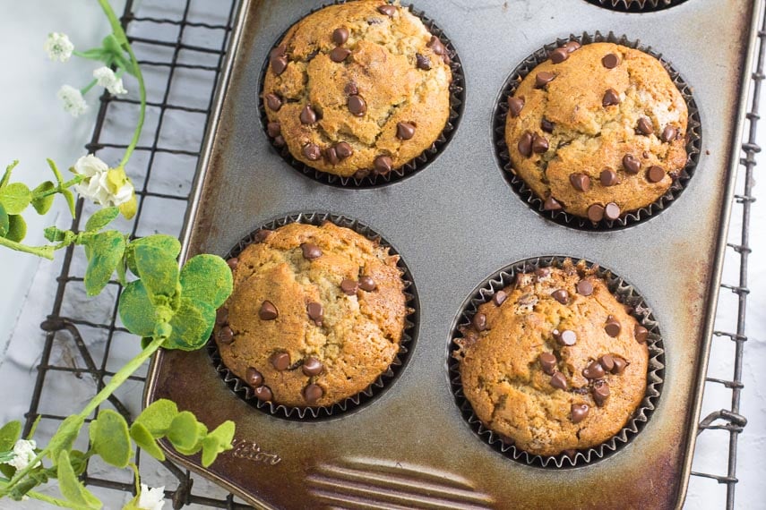 Low FODMAP Banana Chocolate Chip Muffins in pan on rack