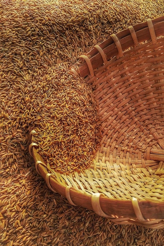 grain spilling into a basket