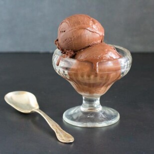 Low FODMAP Chocolate Sorbet in an ice cream dish with an ice cream spoon on a dark surface