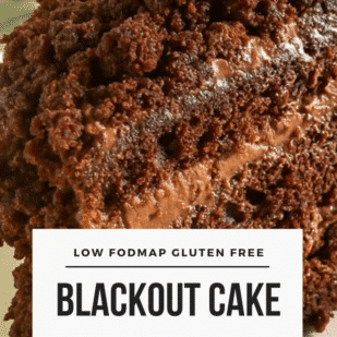 Low FODMAP Blackout Cake