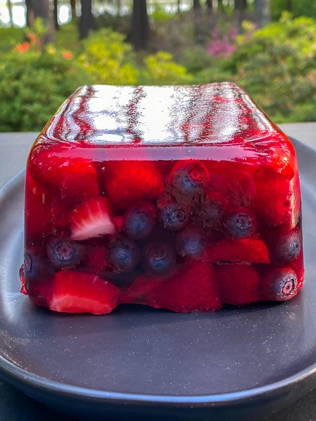 closeup of short end of Low FODMAP Mixed Berry Terrine on an oval black plate; outside on deck - garden in background