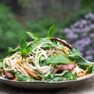 horizontal image of Low FODMAP Thai Basil Steak Salad on rustic round white plate