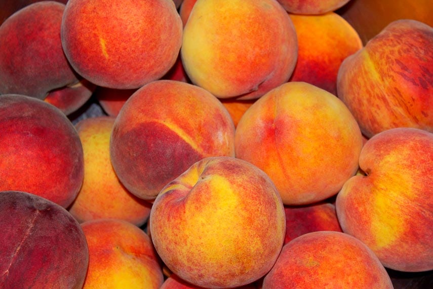 a pile of ripe peaches