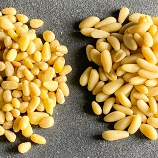 Two piles of pine nuts, comparing varieties, on grey background 2