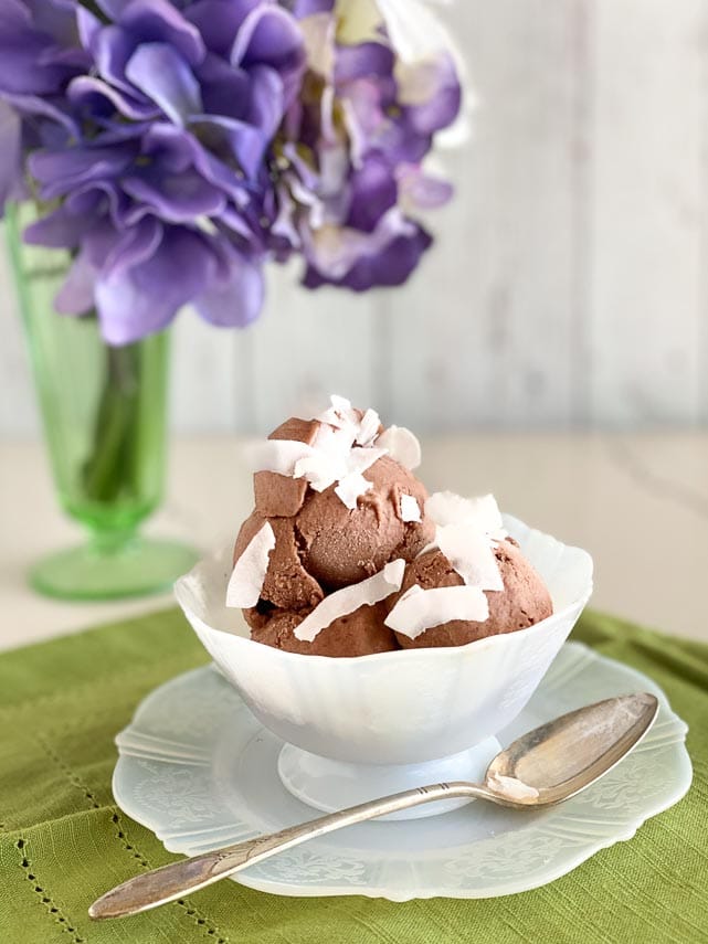 chocolate coconut sorbet in white dish with coconut flakes on top
