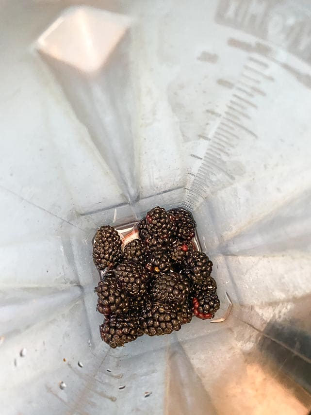looking down in blender at blackberries on bottom
