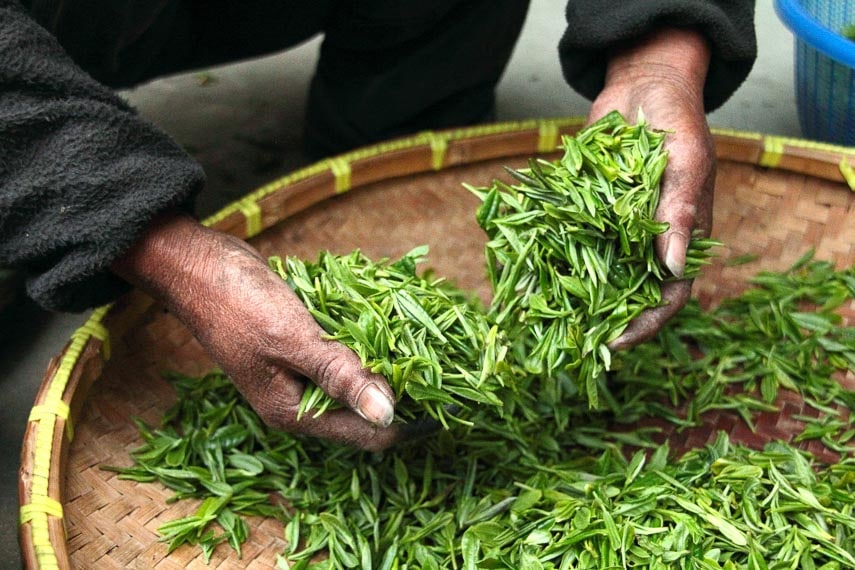 tea being handled in a bamboo basket