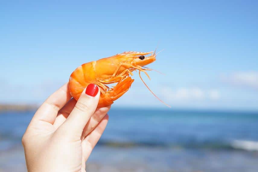 shrimp with head intact being held by a red manicured hand