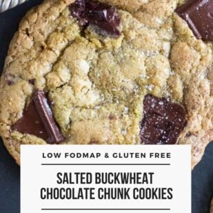Low FODMAP Salted Buckwheat Chocolate Chunk Cookies