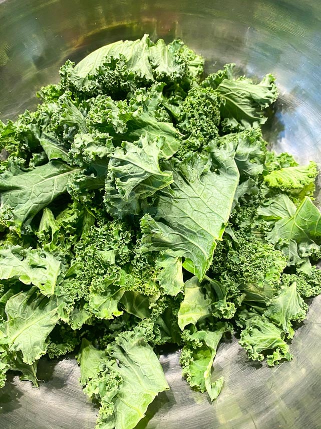 dry curly kale pieces in a stainless steel bowl