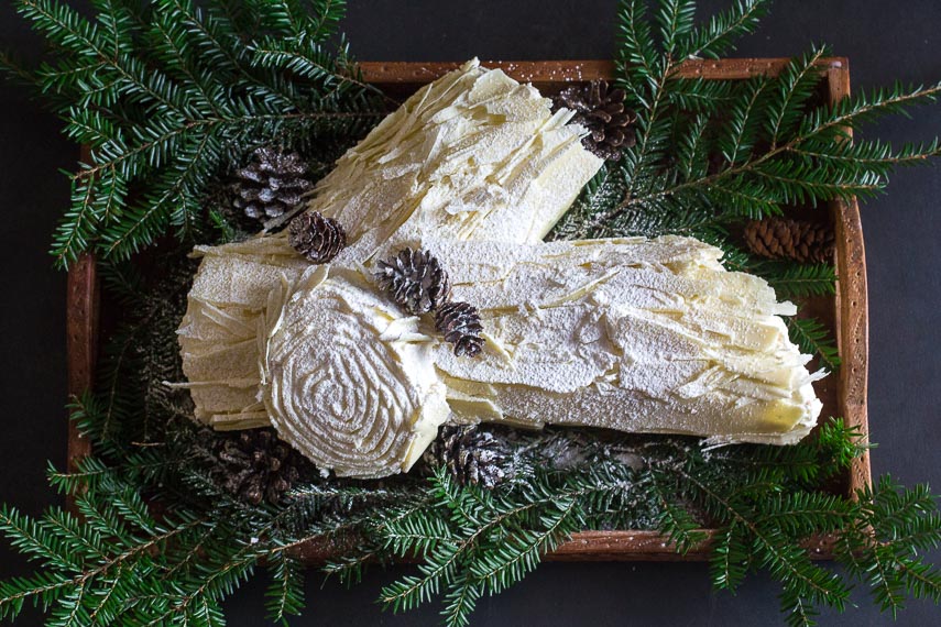 white chocolate buche de noel on wooden board with pine boughs