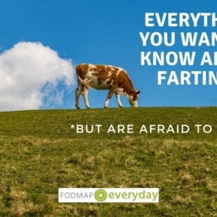 Feature Image for Everything You Want To Know About Farting - A cow standing on a hill with a cloud in the sky behind it that looks like gas coming out of the cow.