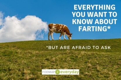 Feature Image for Everything You Want To Know About Farting - A cow standing on a hill with a cloud in the sky behind it that looks like gas coming out of the cow.