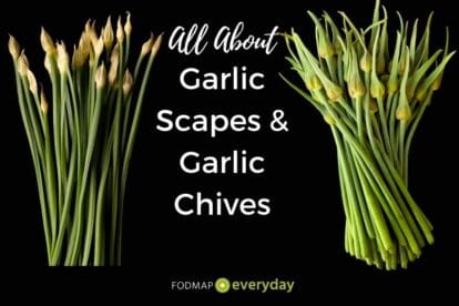 all about garlic scapes and garlic chives feature image