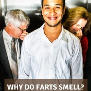 A smiling young man in an elevator surrounded by people holding their nose because he farted.