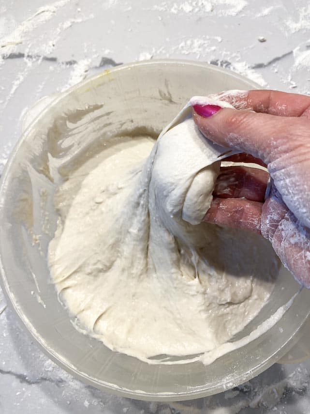 72 hour ferment dough in plastic bucket