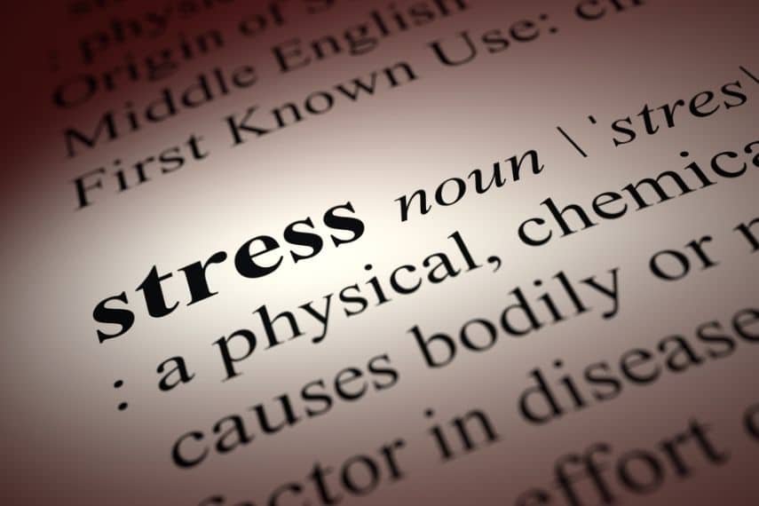 close up of the word stress in the dictionary