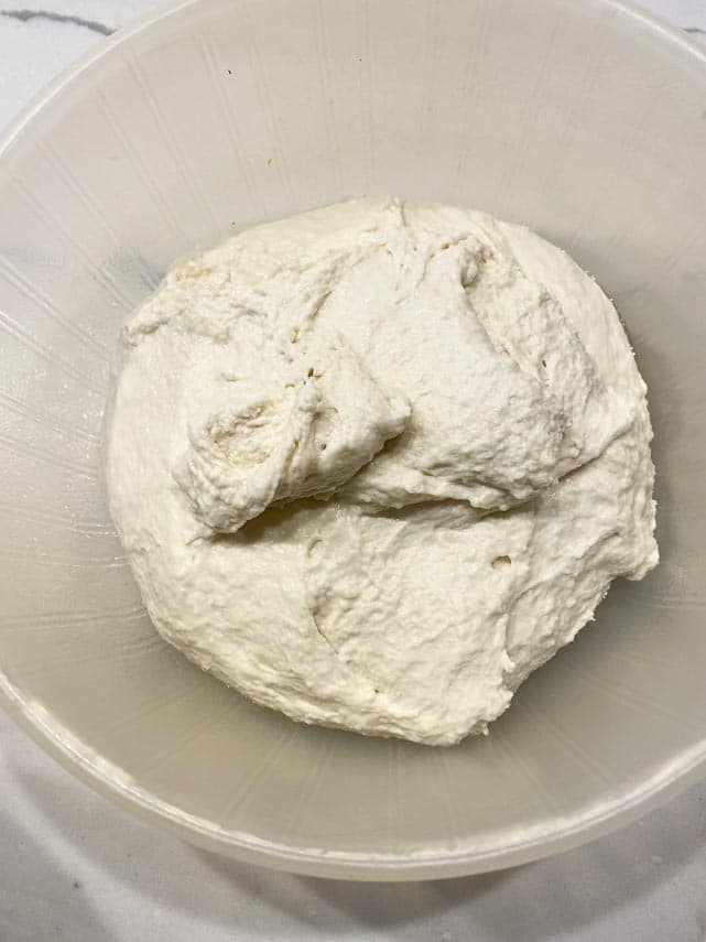 caputo gluten free pizza dough in plastic container