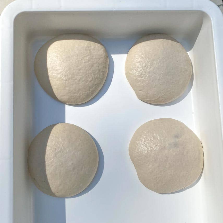 pizza dough balls after 72-hour fermentation in white container