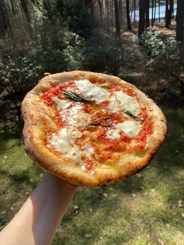 wood-fired pizza held in hand against wooded backdrop