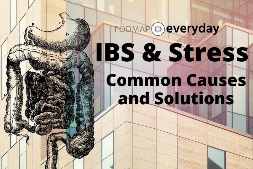 The feature image for the article IBS and Stress