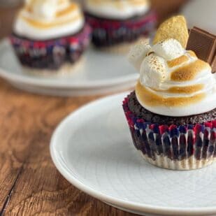 closeup image of Low FODMAP S'Mores Cupcakes on white plate and white cake stand in background