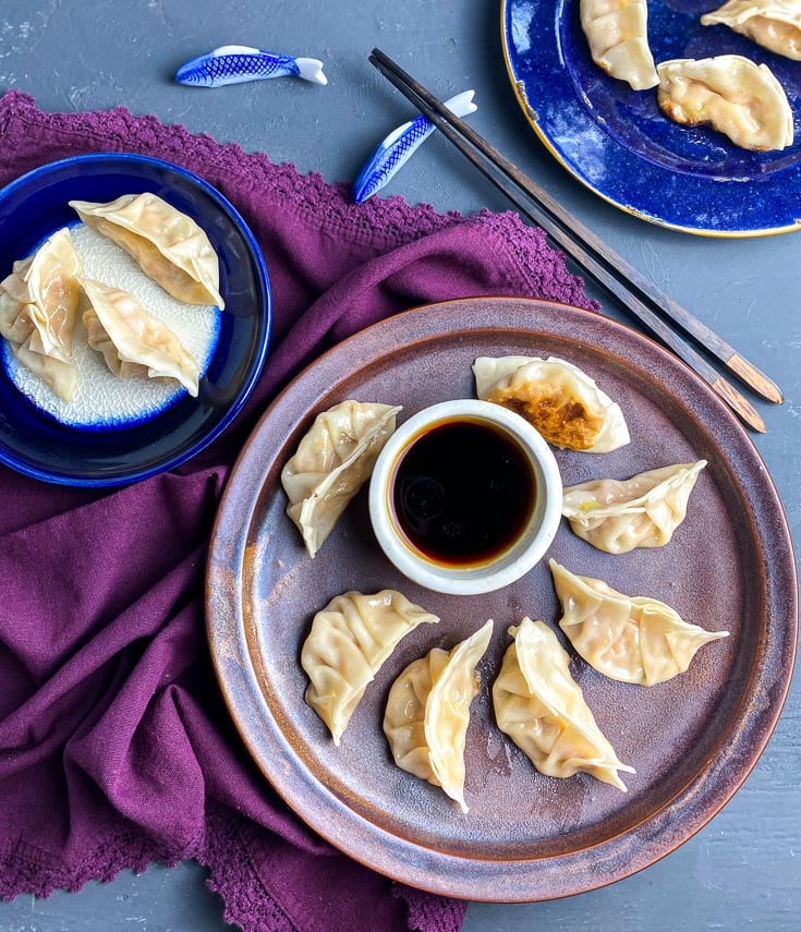 low FODMAP Pork Dumplings on brown plate with dipping sauce in white bowl 3