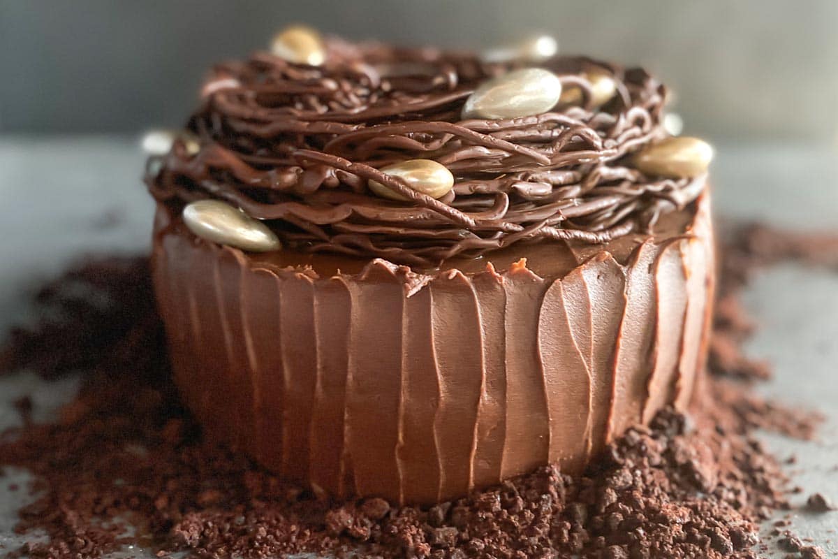 Low FODMAP Chocolate Cake with Mocha Frosting and Chocolate Nest