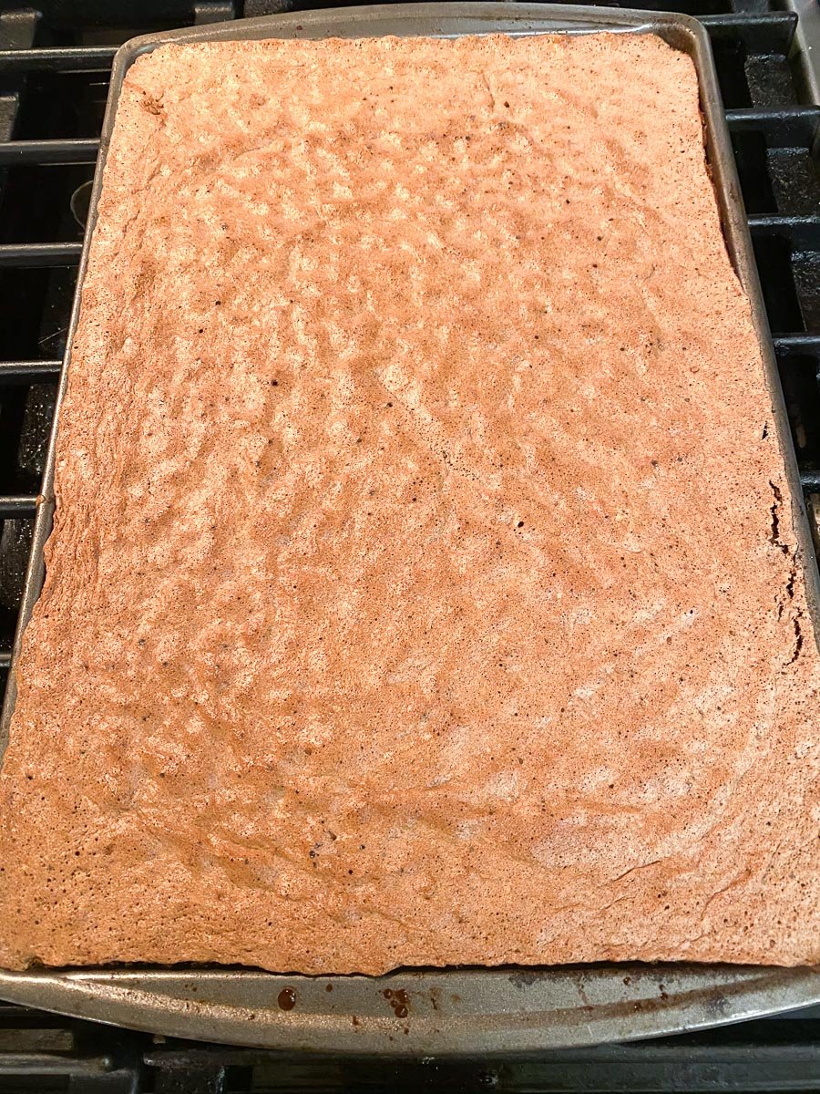 baked cocoa jellyroll cake in pan