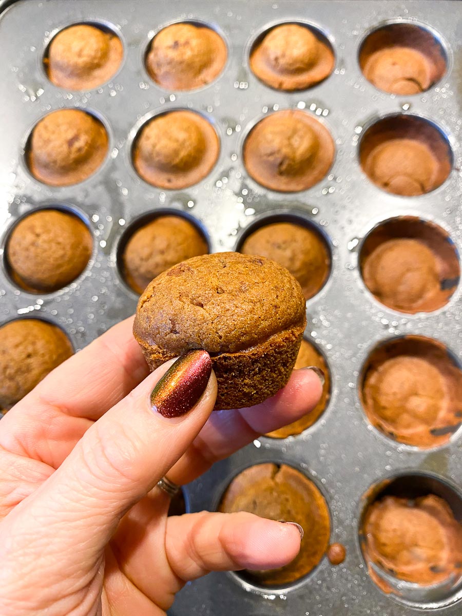 baked mini muffin held in hand