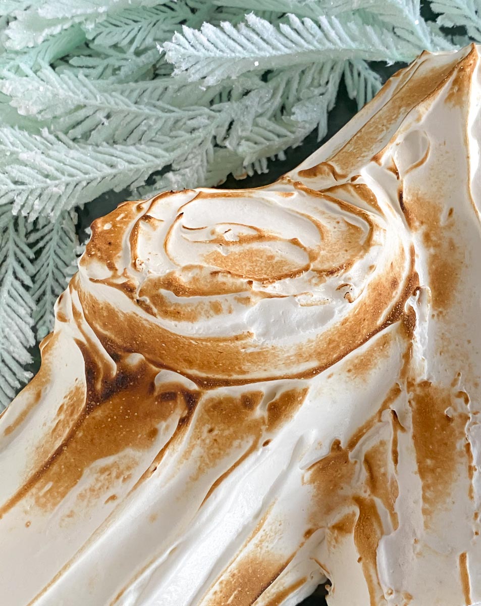 closeup of meringue on Yule log