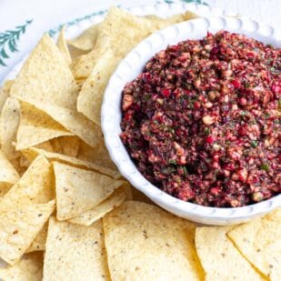 white bowl holding cranberry salsa, chips surrounding bowl