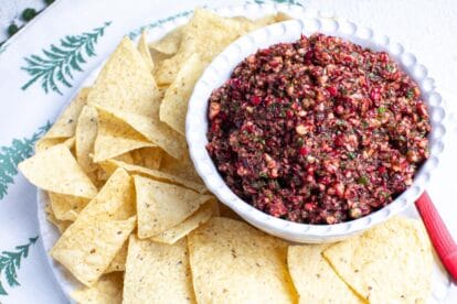 white bowl holding cranberry salsa, chips surrounding bowl