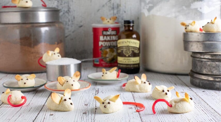 Low FODMAP Night Before Christmas Mice Cookies on white wood surface and amongst pantry ingredients