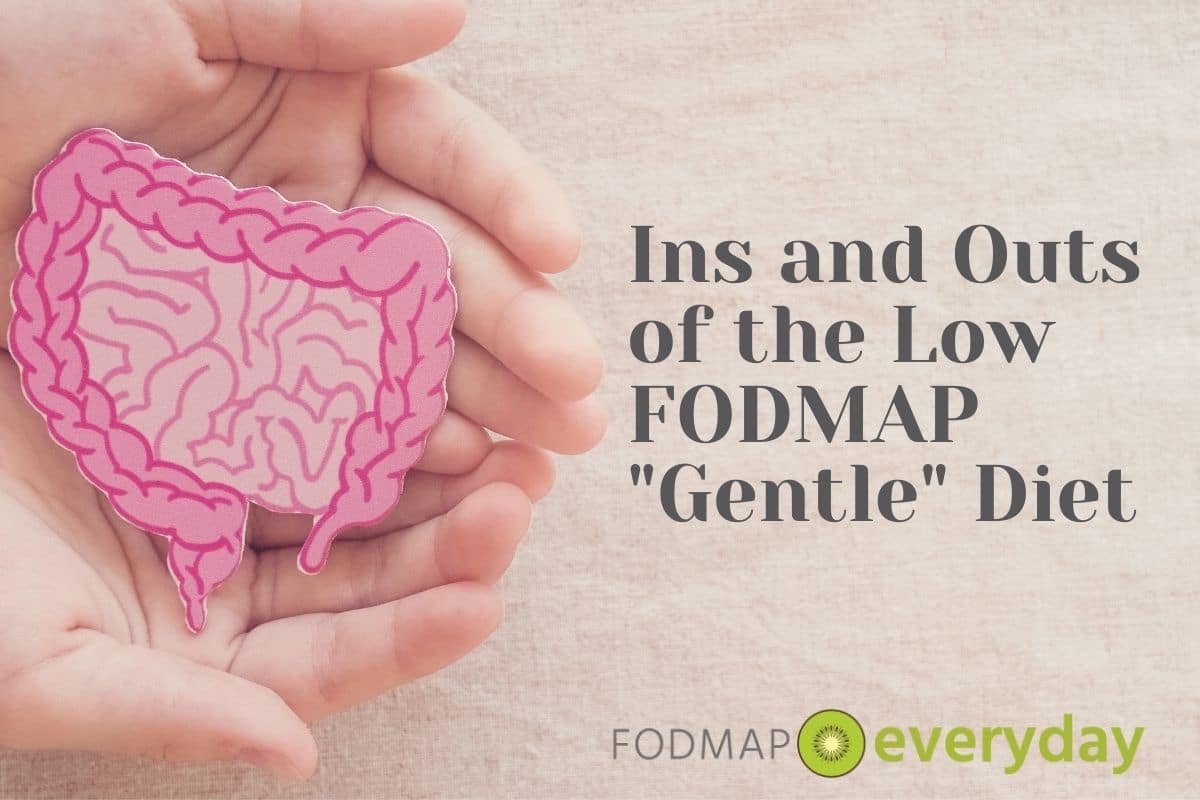 two hands holding a pink graphic of the intestines with the words "Ins and outs of the low FODMAP gentle diet" off to the right. 