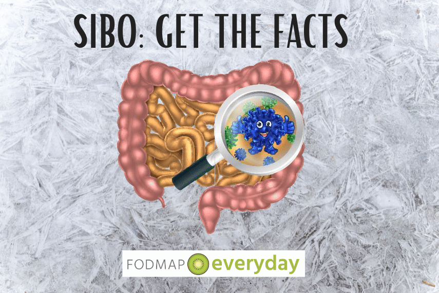 Feature Image for SIBO: Get the Facts - drawing of intestines on grey background